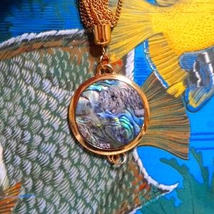 Astonishing reflective colored necklace pendant.